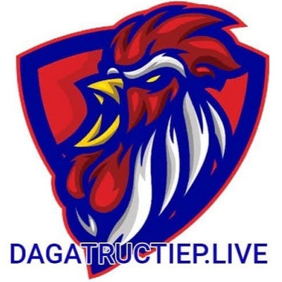 Đá Gà Trực Tiếp Live