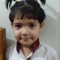 Vijay Singh Shekhawat