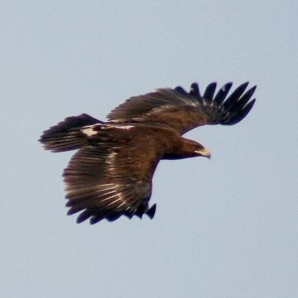 Axrorov G'ayratxo'ja