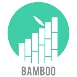 Bamboo