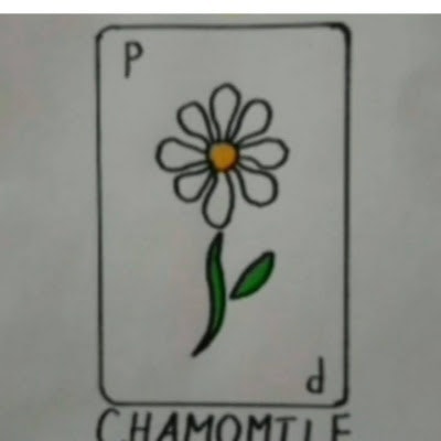 ProductHunt profile picture for @chamomile