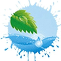 Hali Koltuk Perde Yıkama