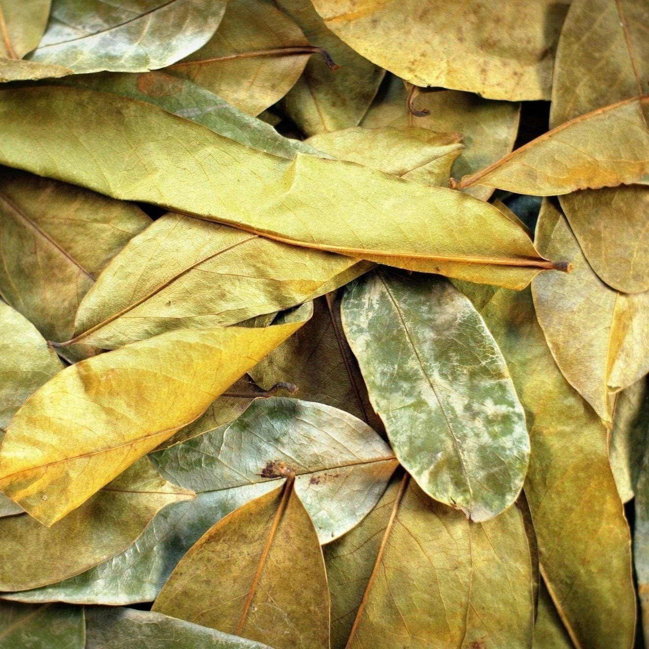 Graviola Tea Company