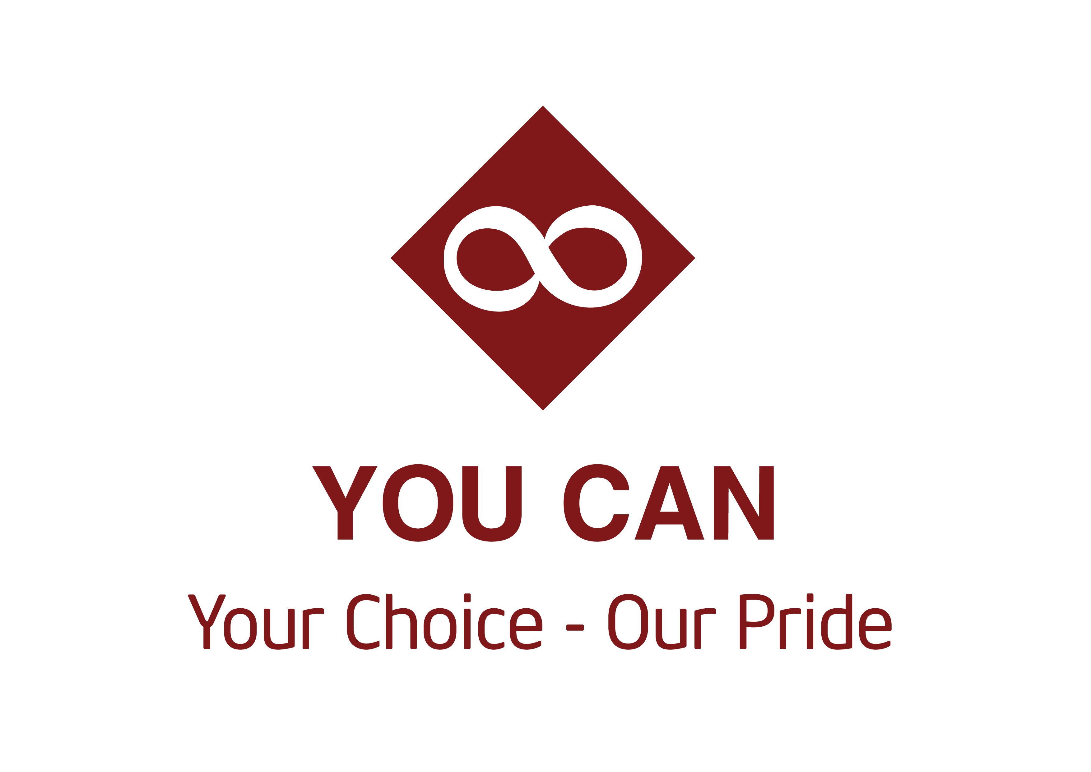 Hoa ngữ Tầm Nhìn Việt