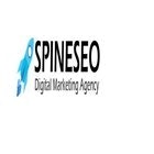 Spine SEO : SEO Experts India