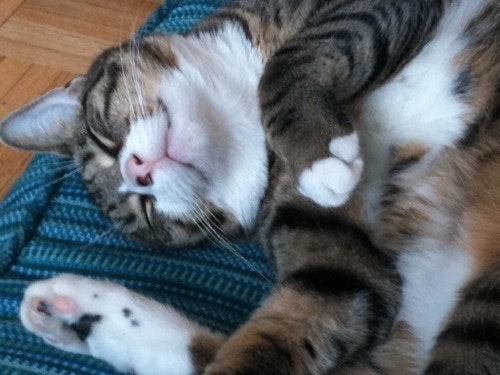 平川純子（実はJane）