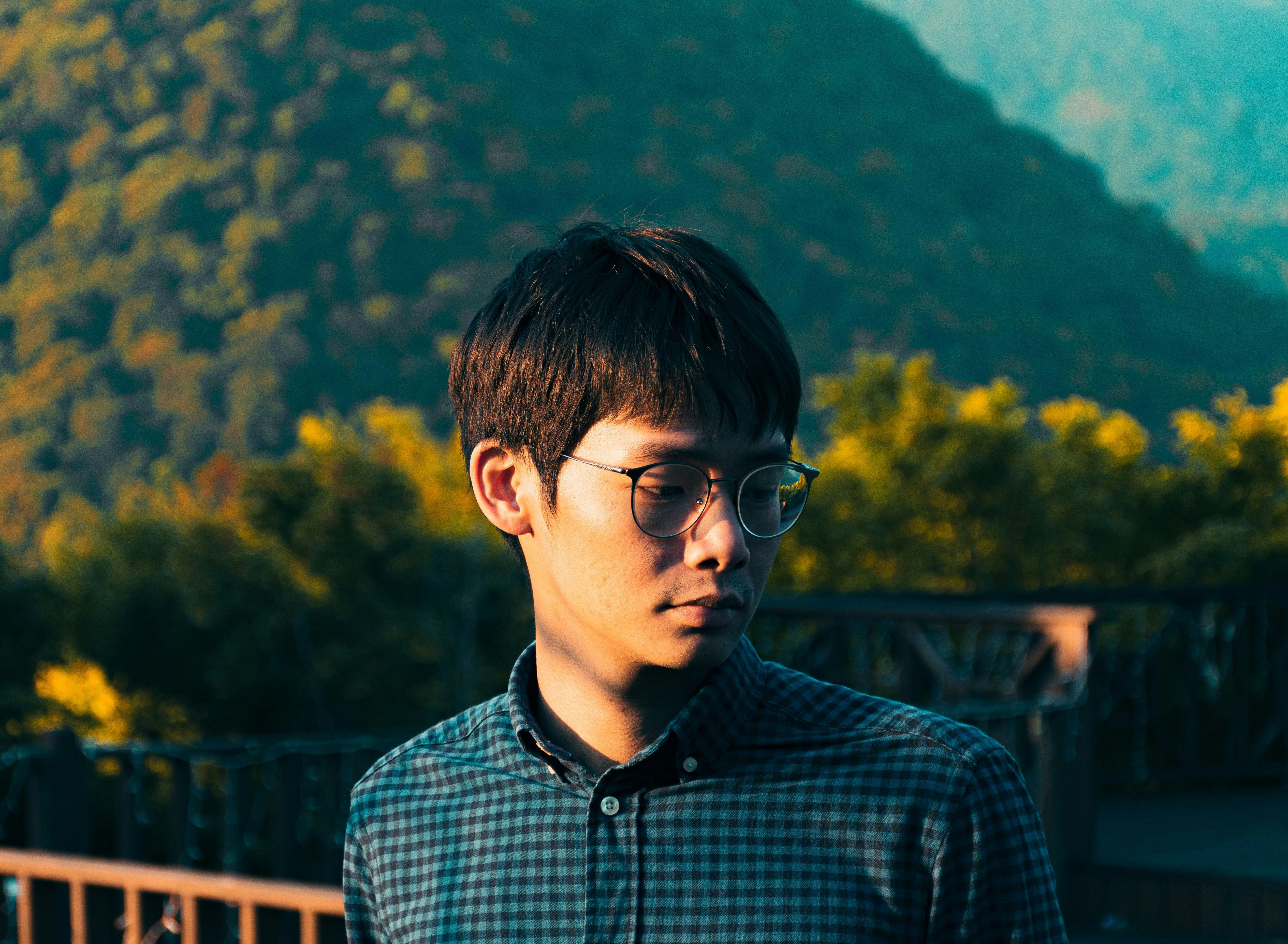 Tisestean Renasleade