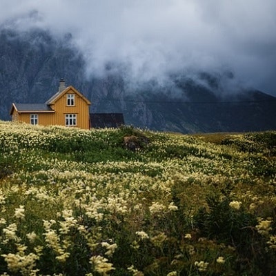 Zooandpet Pet Shop UAE