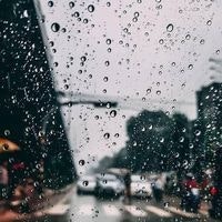 Mahmudul Hasan Shipon