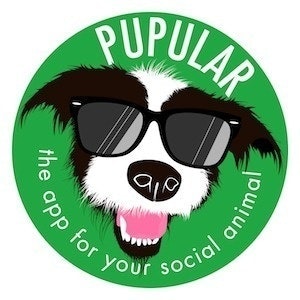 pupular