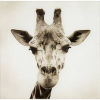 Люба Рогозина