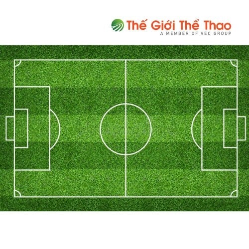 Sân bóng TheGioiTheThao