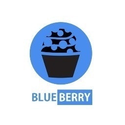 Blueberry Media