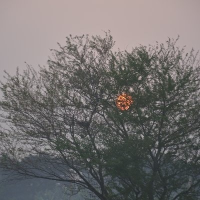 Sayani Banerjee Pandey