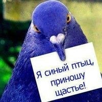 Елена Ярчевская