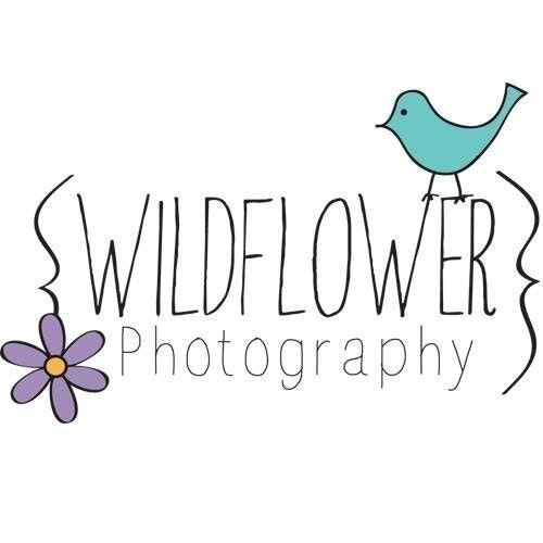 Wildflower Photo