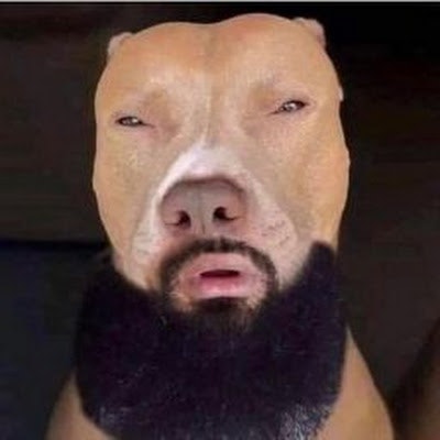 Josemangel4@gmail.com