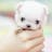 Anyany Pan