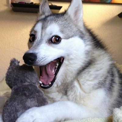 Pavlína Zámečníková