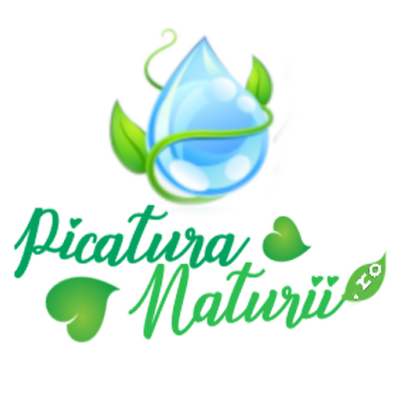 Picatura Naturii