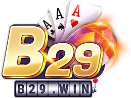 b29website