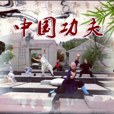 Taizu Shaolin Kung Fu School China