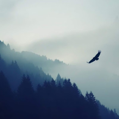 Omar Mohamed Yasser Abdelatty