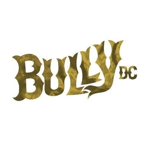 Bully Design Co.