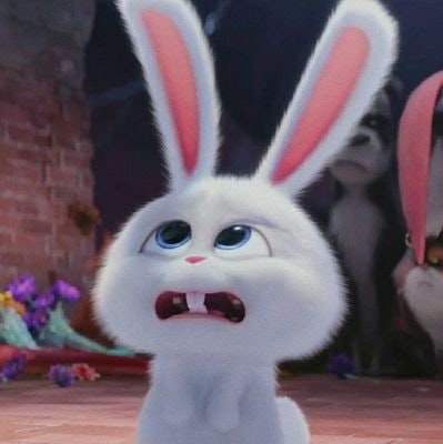 tikaa🍀 | bigwin when?