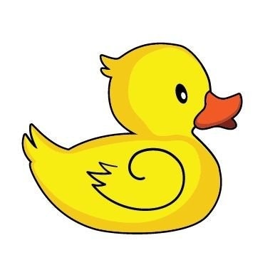 duck