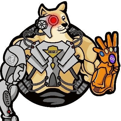 DOGE2 (Polygon)
