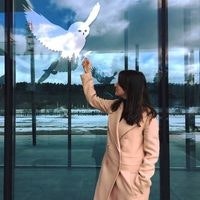 Дарья Панфилова