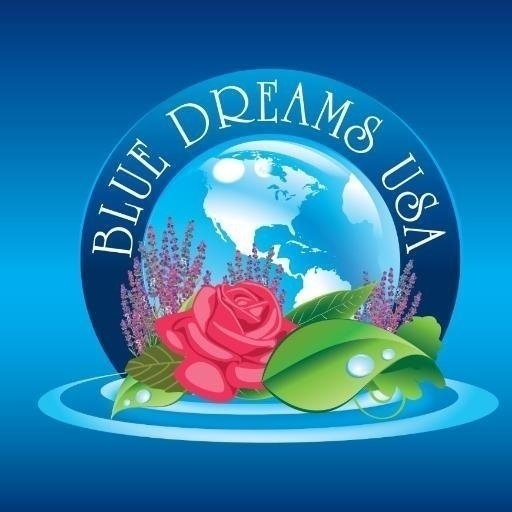 BlueDreamsUSA