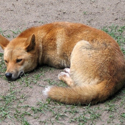 Christoph Parstorfer