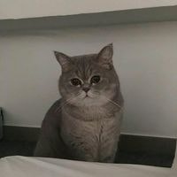 Булат Хусаинов