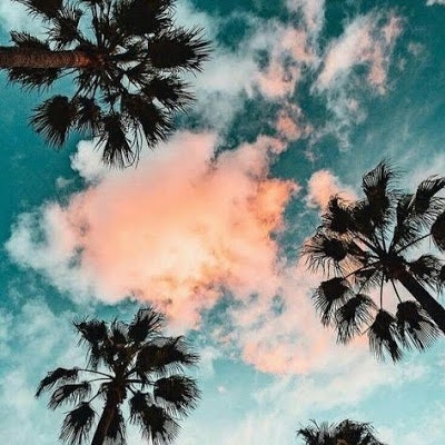 Виктор Кадушкин