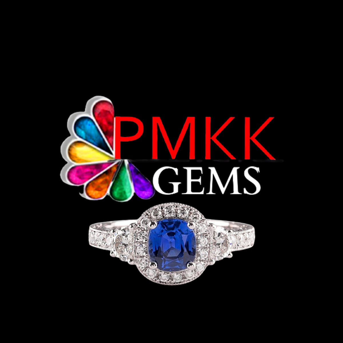 PMKK GEMS