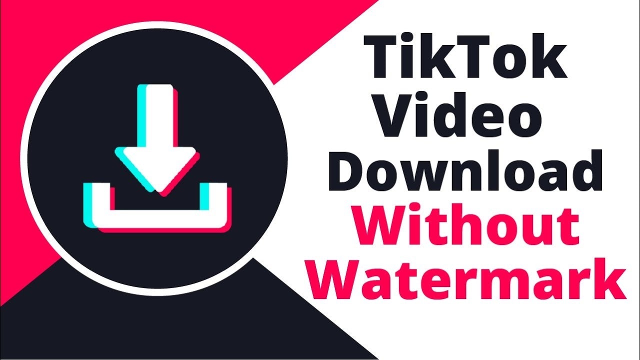 TikTok Downloader