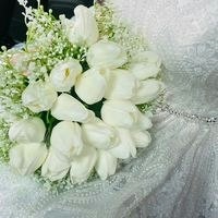 Aseel Mhajna Wishahi