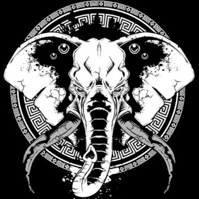 Professional Developer