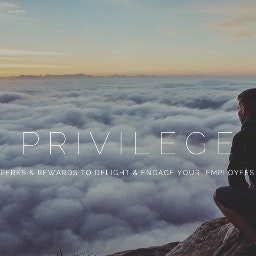 Privilege