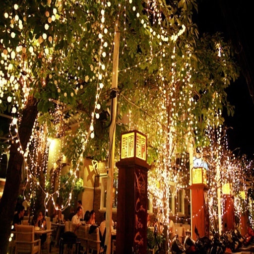 Triệu Hải Nguyễn