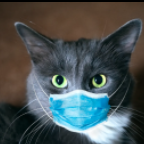 Nhà Thuốc Phương Thanh