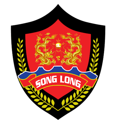Song long Vệ sĩ