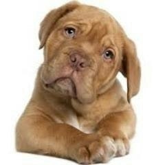 carlos garcia sanche