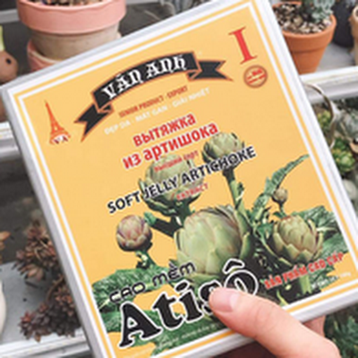 Cao Atiso Vân Anh Đà Lạt