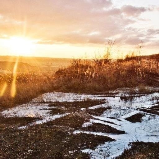 William A. Brewingto