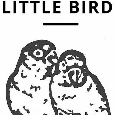 Little Bird