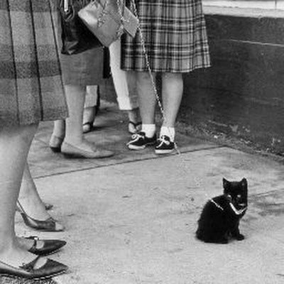 Кыктымбек Кыктымбы Кыктымбаев