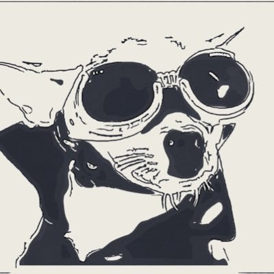 shin-g(aka whimsy)⛅